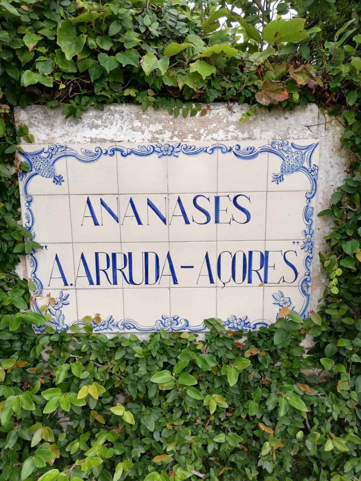 Inselhüpfen auf den Azoren