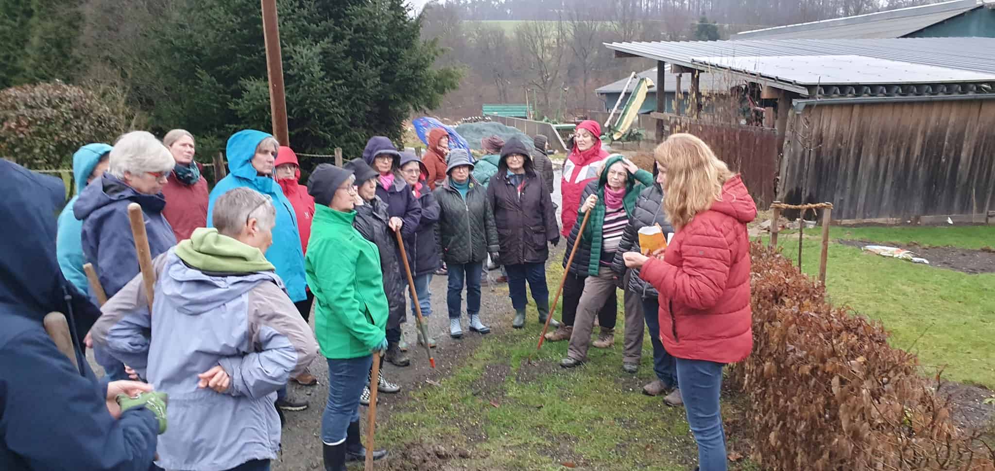 Fortbildung zum Klimagärtnern - Modul 4 - Rasen und Grünflächen