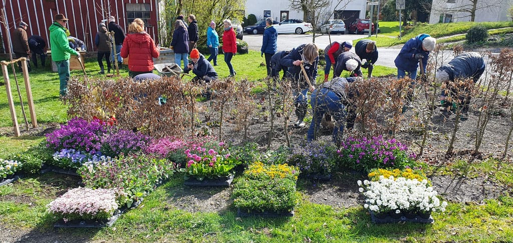 LandFrauen Frischer Wind absolvieren Modul 5 der Weiterbildung zum Klimagärtnern – Gemüse aus dem eigenen Garten