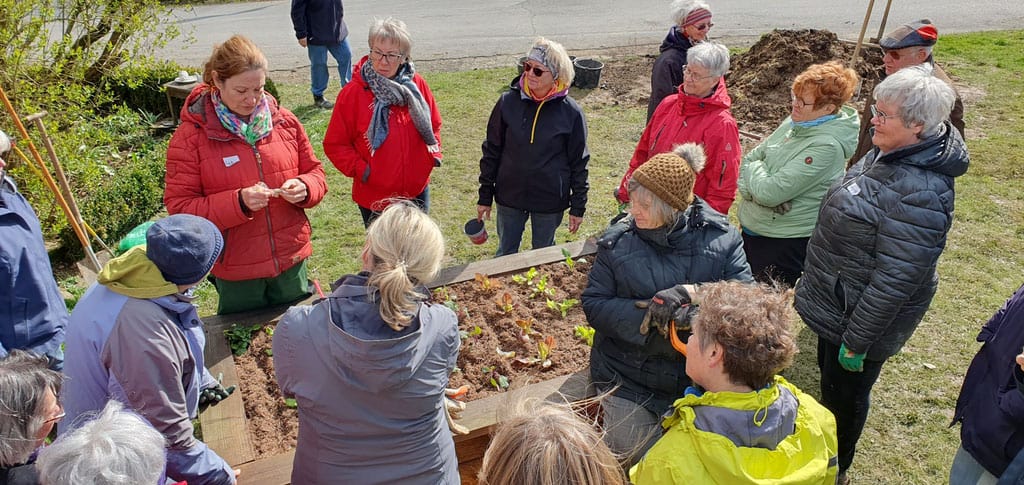 LandFrauen Frischer Wind absolvieren Modul 5 der Weiterbildung zum Klimagärtnern – Gemüse aus dem eigenen Garten
