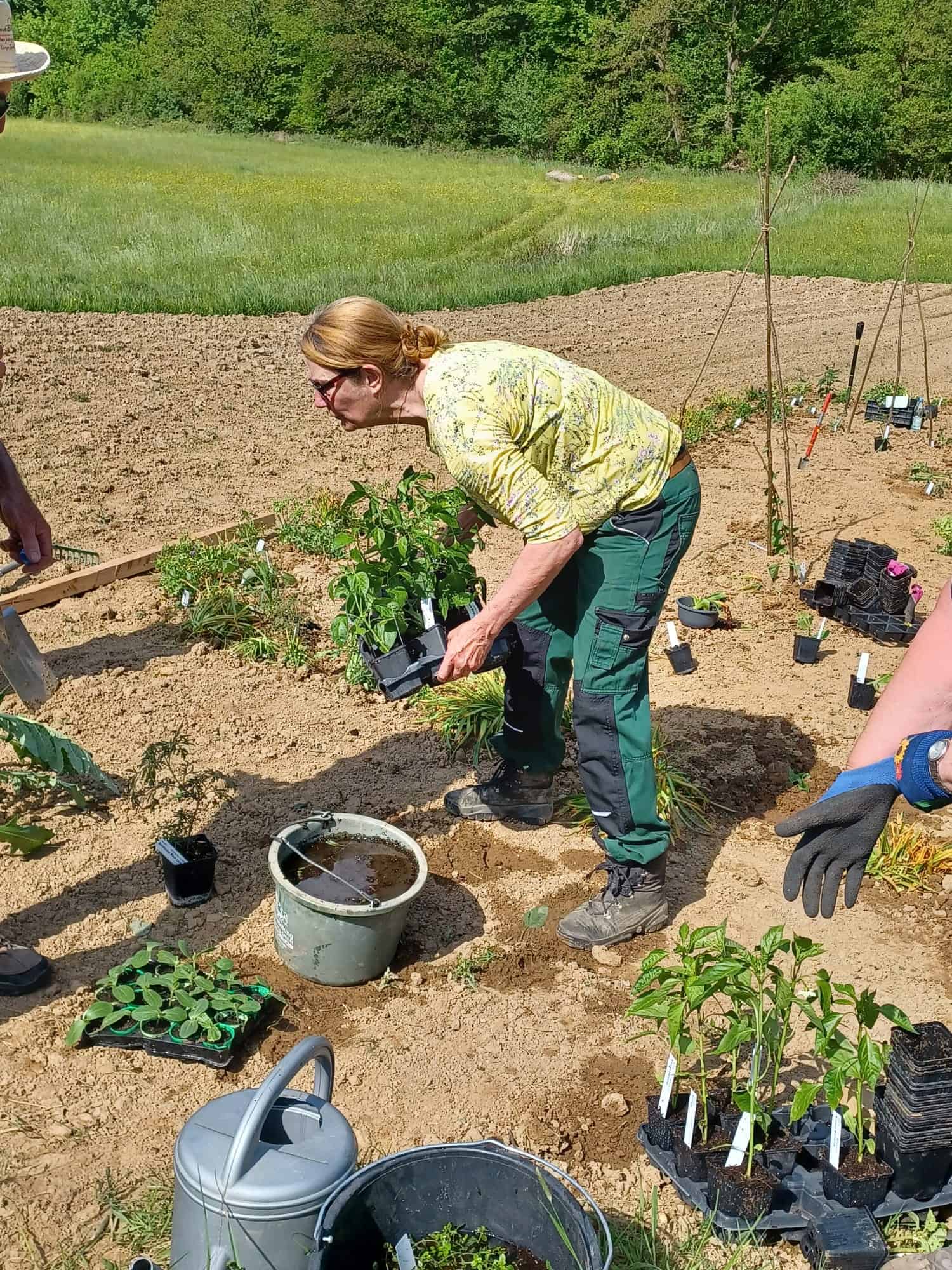 Ein besonderer Tag im Klimagarten in Obererbach !