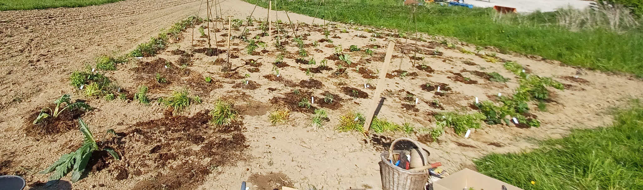 Ein besonderer Tag im Klimagarten in Obererbach !
