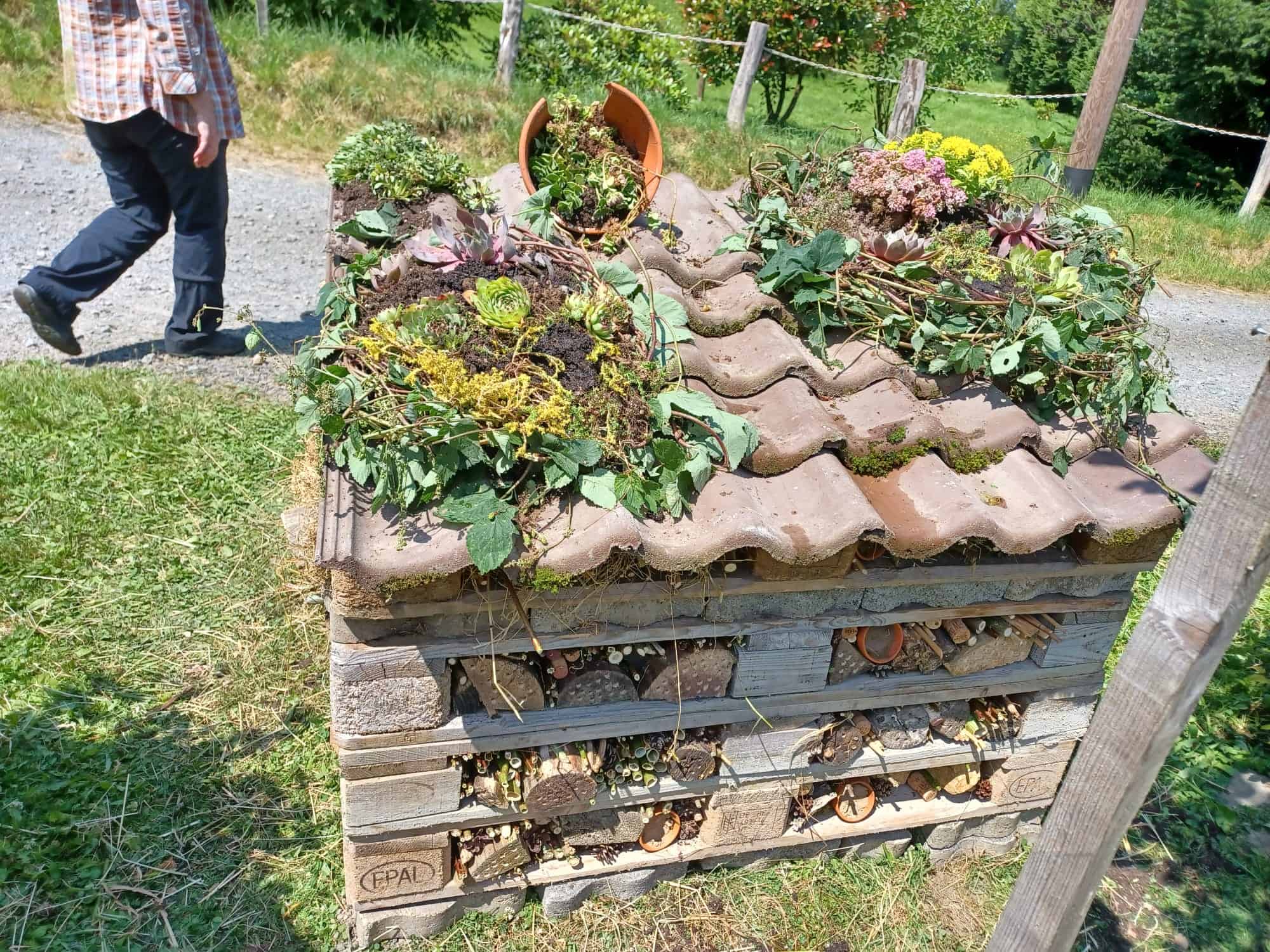 Die Klimagärtner*innen des LandFrauenverbandes Frischer Wind e.V. bauen Insektenhotel