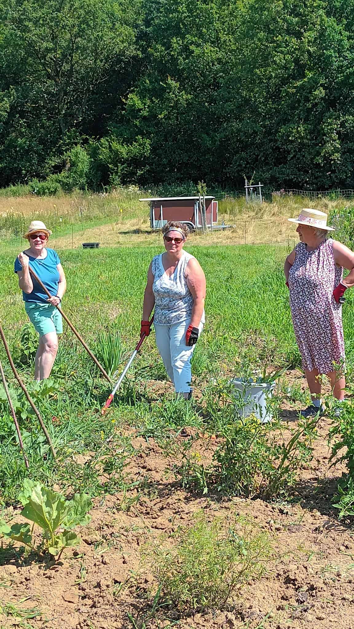 Die Klimagärtner*innen des LandFrauenverbandes Frischer Wind e.V. bauen Insektenhotel