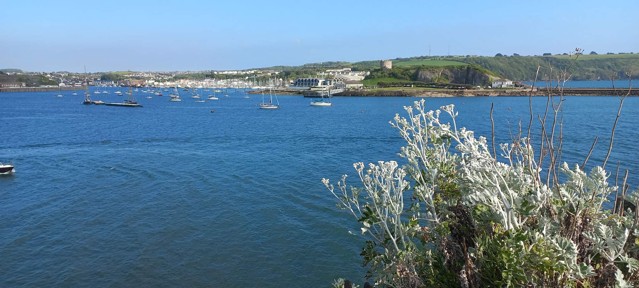 Der KreislandFrauenverband Frischer Wind auf Studienfahrt in Südengland und Cornwall