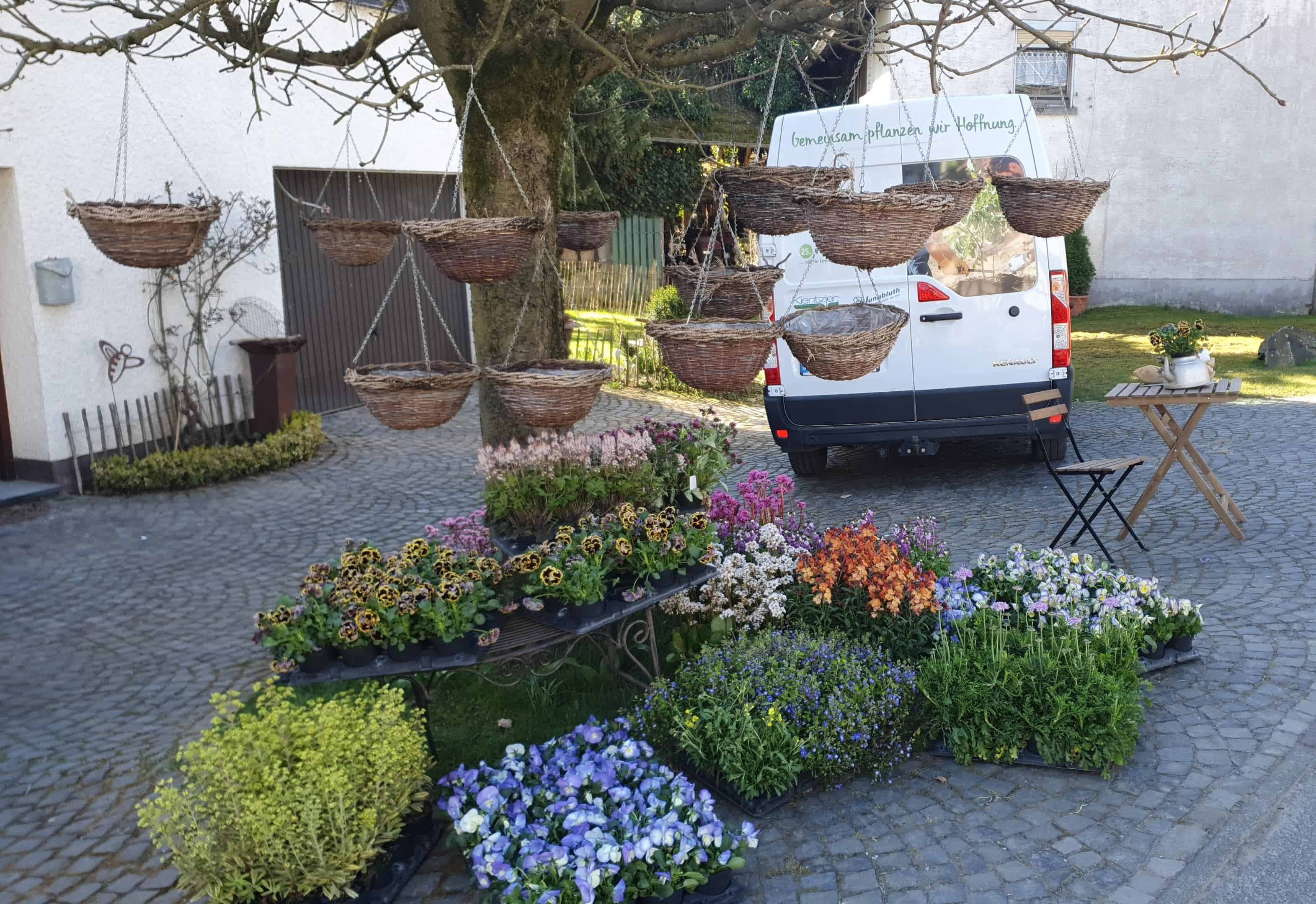 Gartenmarkt im Klimagarten der LandFrauen
