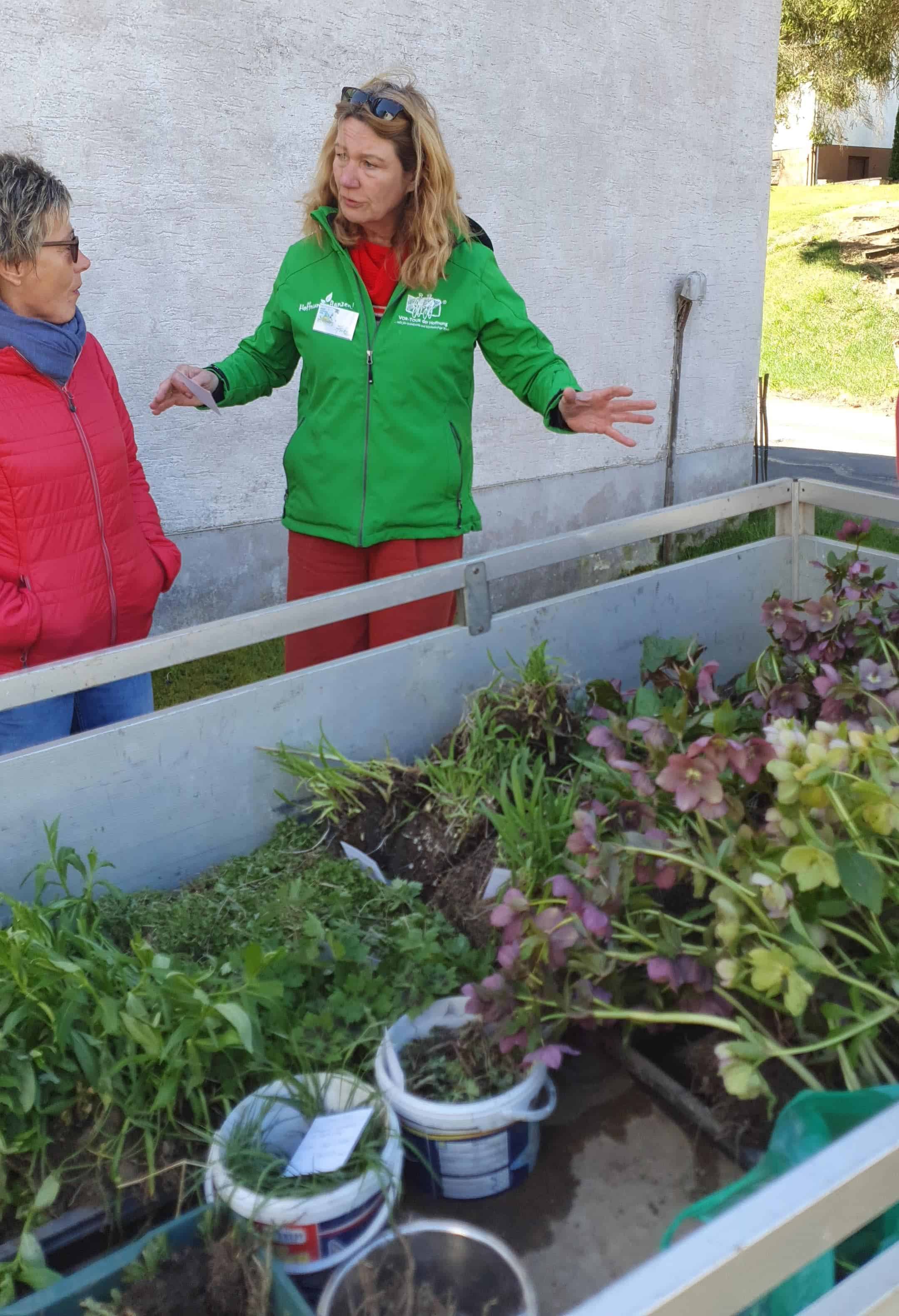 Gartenmarkt im Klimagarten der LandFrauen