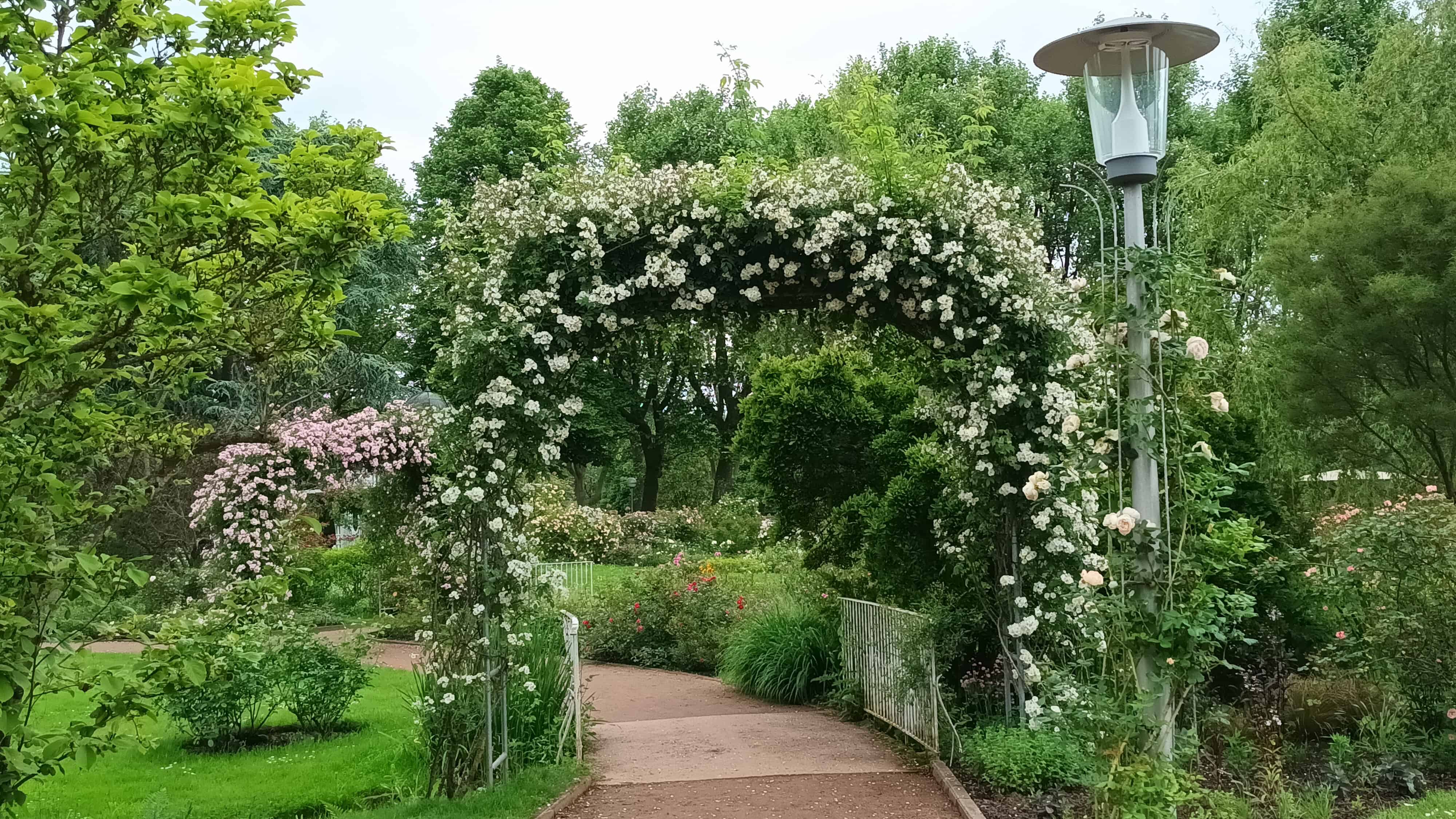 Die Klimagärtner*innen des LandFrauenverbandes Frischer Wind e.V. besuchen den Rosengarten in Zweibrücken