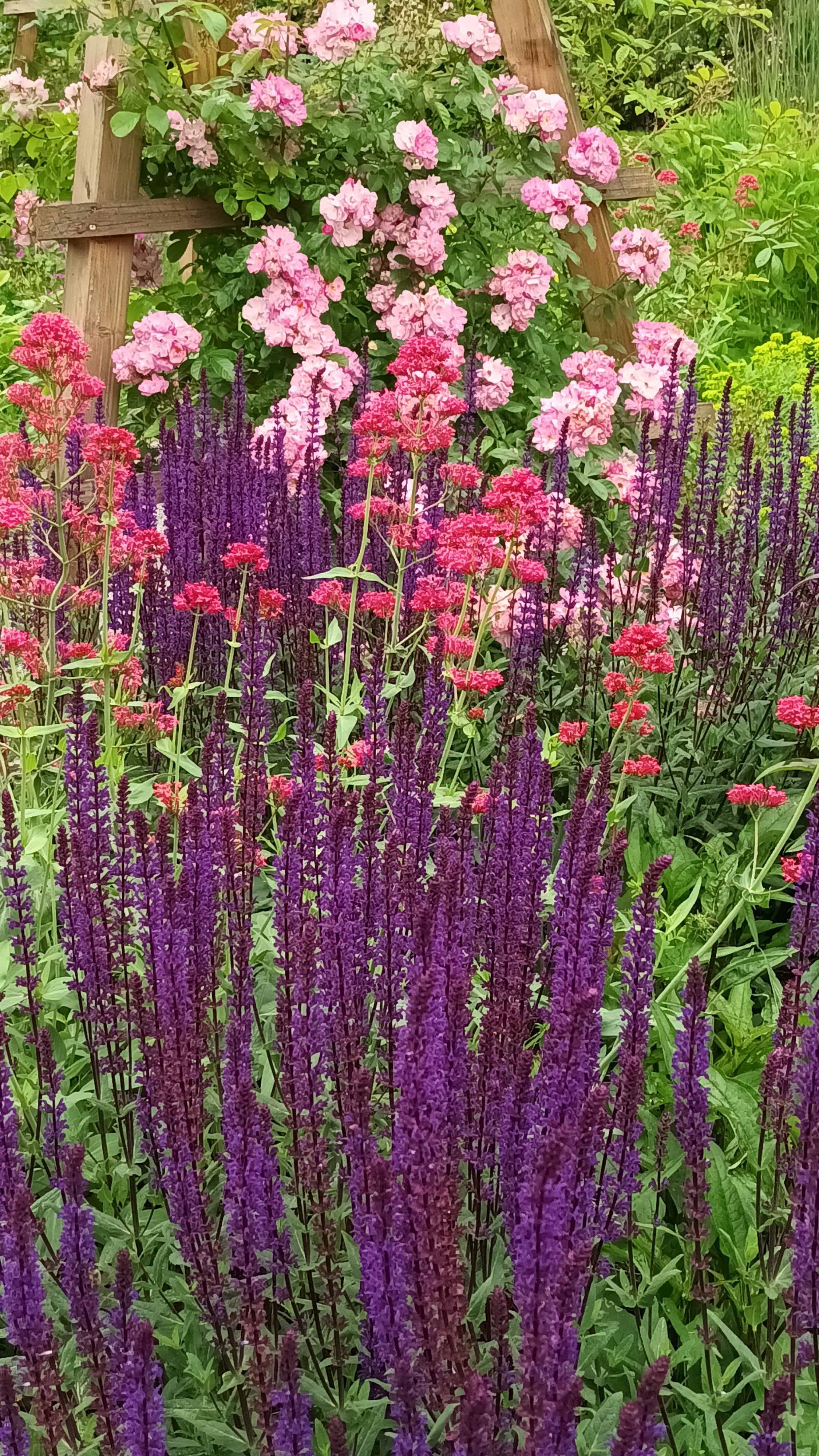 Die Klimagärtner*innen des LandFrauenverbandes Frischer Wind e.V. besuchen den Rosengarten in Zweibrücken