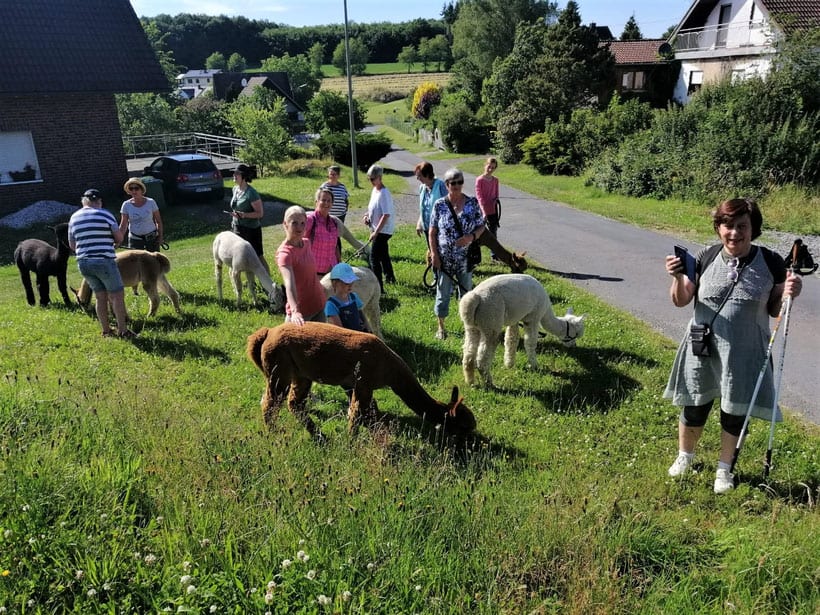 Wunderschöne Alpaka Wanderung – Foto 1