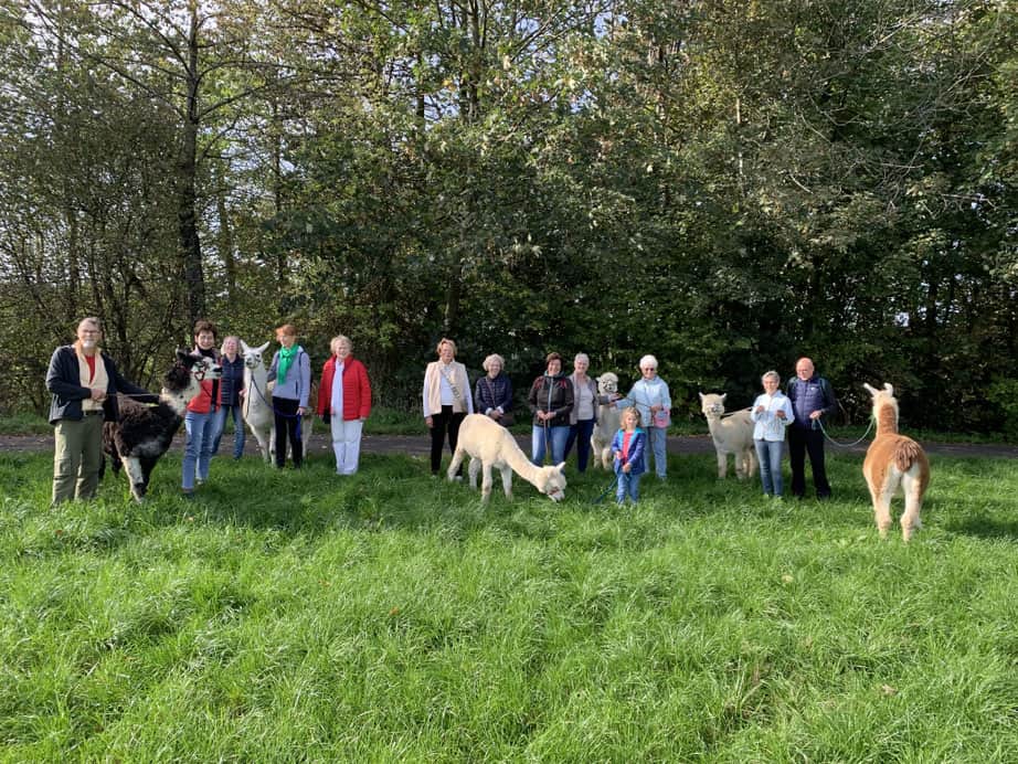 Besuch des Alpakahofs in Lautzenbrücken – Foto 1