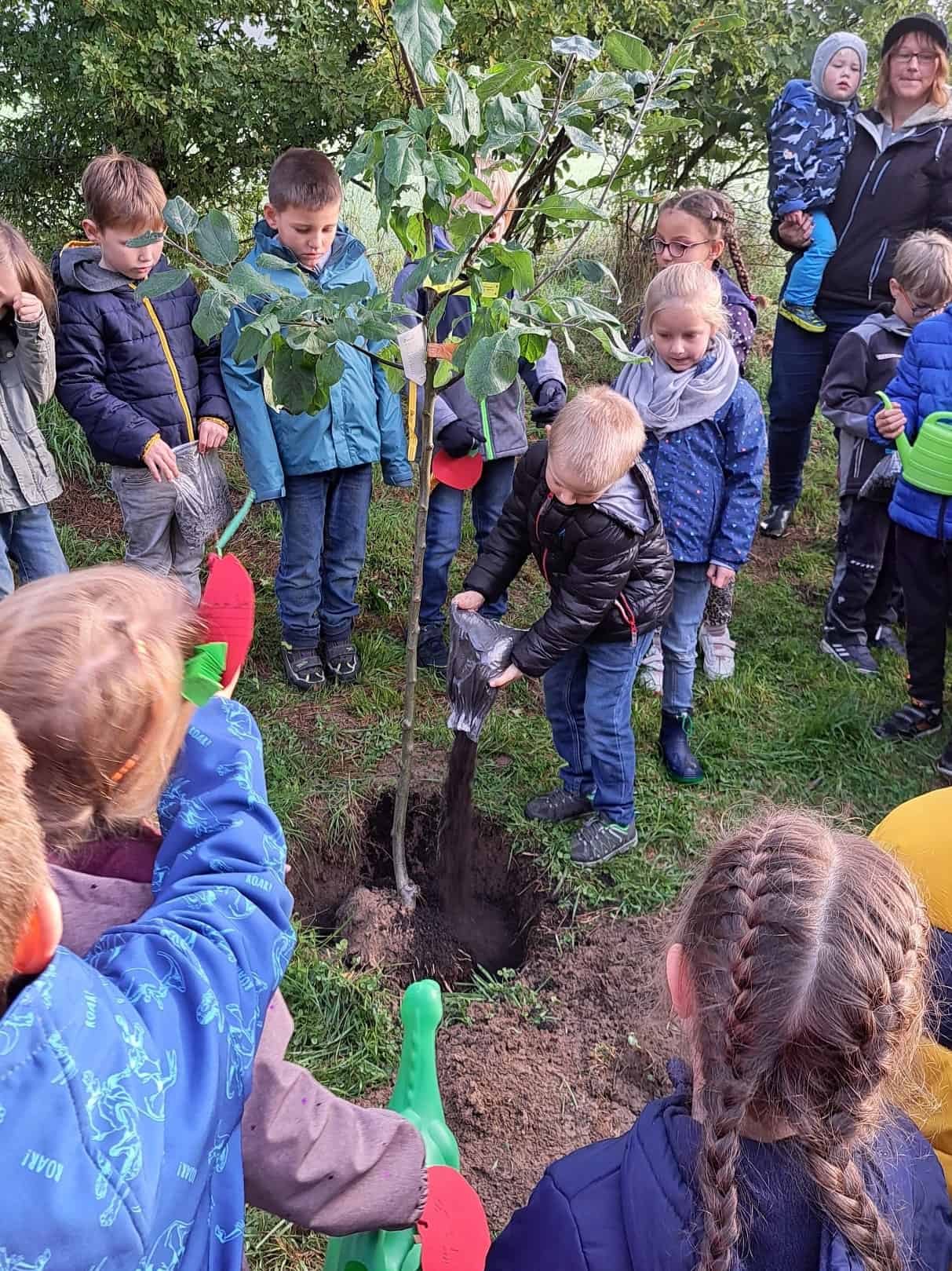 LandFrauen sponsern Jahresbaum der Grundschule Weyerbusch – Foto 1