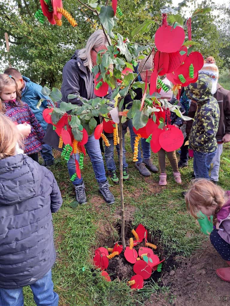 LandFrauen sponsern Jahresbaum der Grundschule Weyerbusch – Foto 3