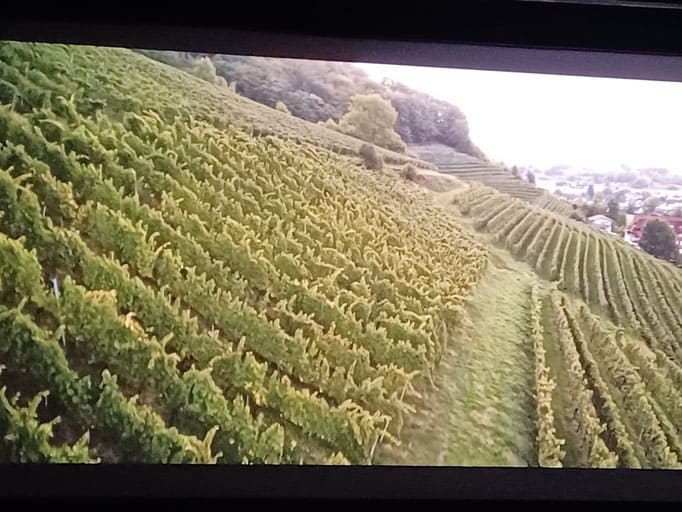 WeinWeiblich – Wunderbar – Foto 1
