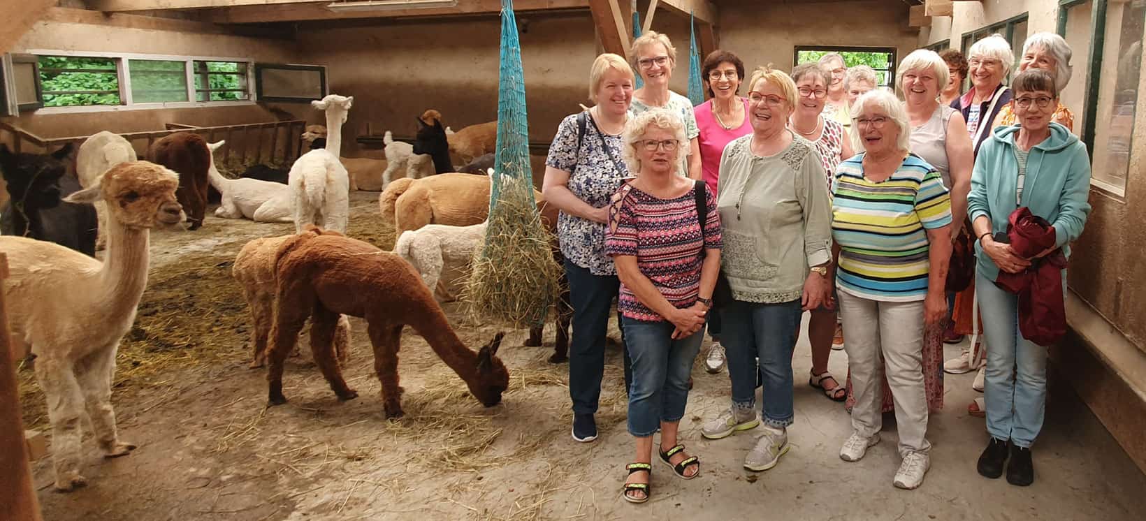 LandFrauen Wisserland besuchten Alpaka-Farm – Foto 1