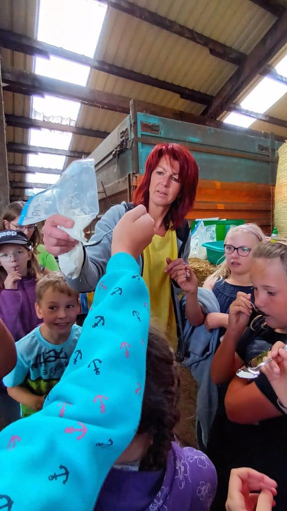25 begeisterte Grundschulkinder auf dem Lindenhof Kühn in Nisterberg – Foto 5