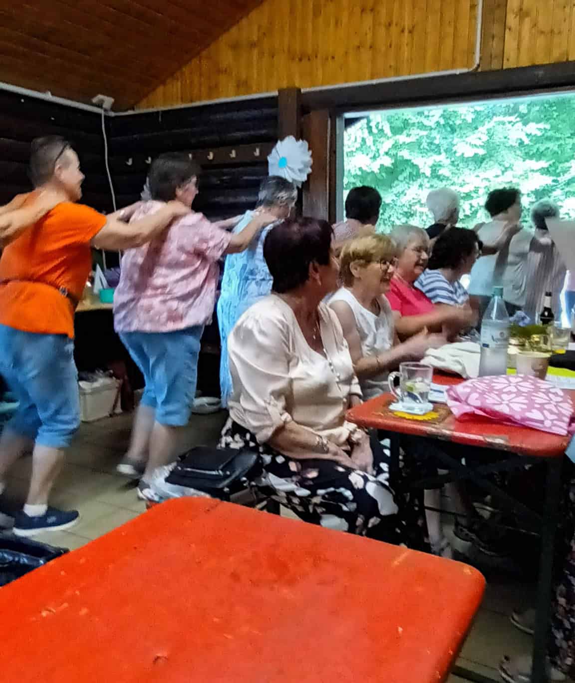 Landfrauen beim gemeinsamen Tanzen на Sommerfest