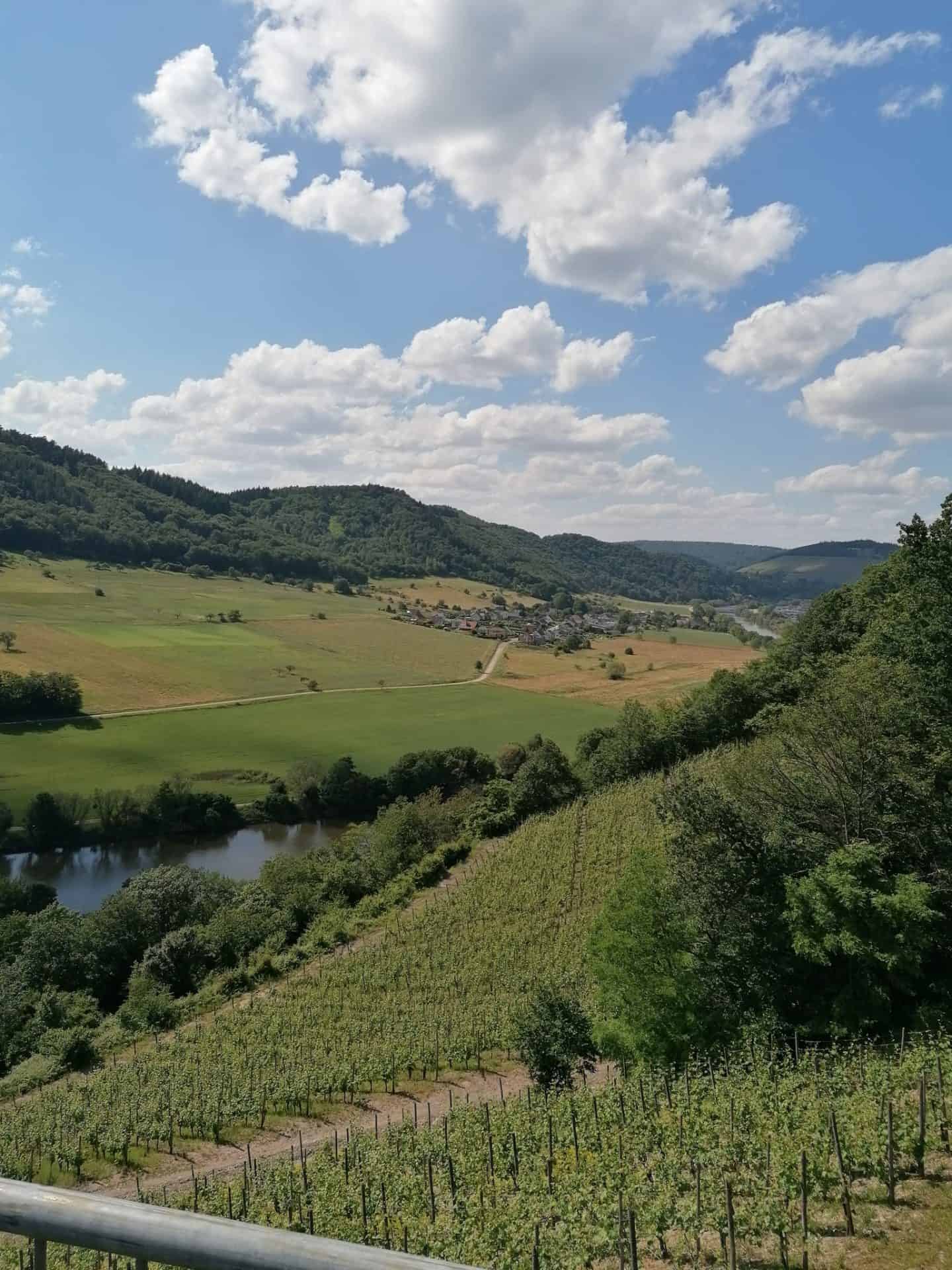 Landfrauen Bezirk Betzdorf verbringen erlebnisreiche Tage in Saarlouis und Metz – Foto 3