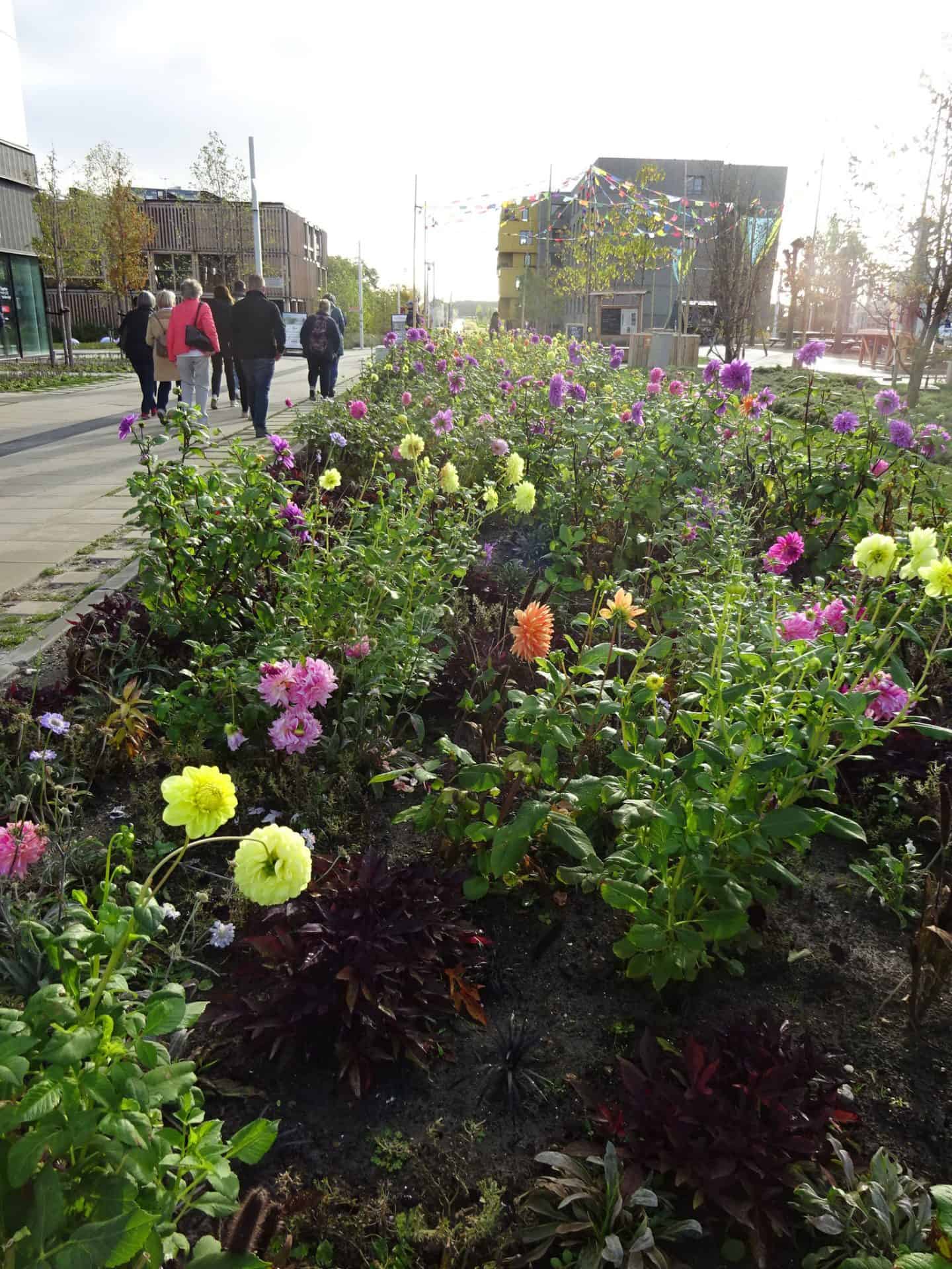 Betzdorfer LandFrauen reisten zur Floriade-Expo-2022 nach Almere. – Foto 3